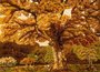 Landscape "Oak"